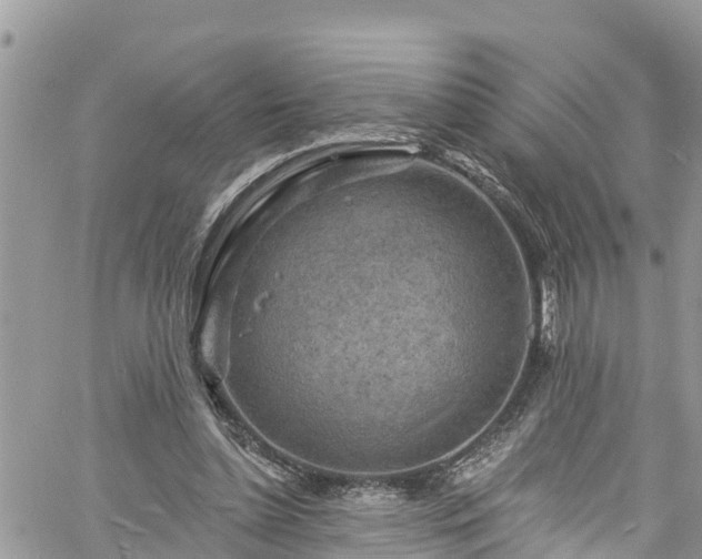 X0000061150348200511211007