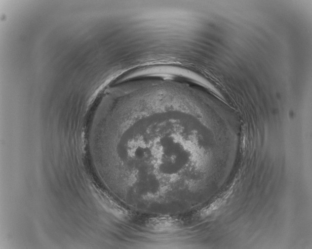 X0000061150351200511211007