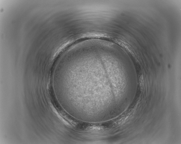 X0000061150352200511211007