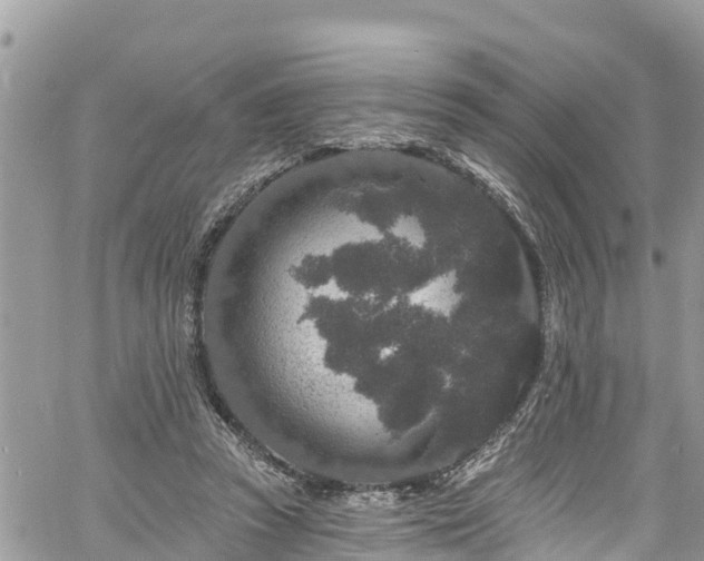 X0000061150353200511211007