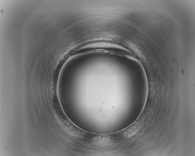 X0000061150354200511211007