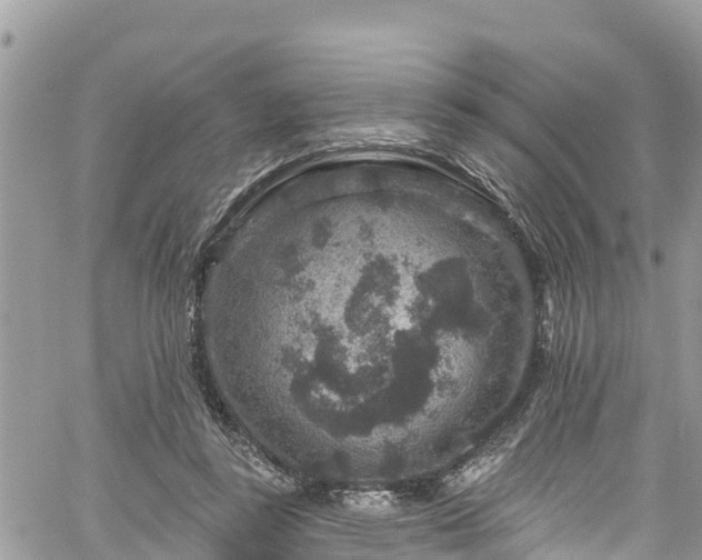 X0000061150355200511211007