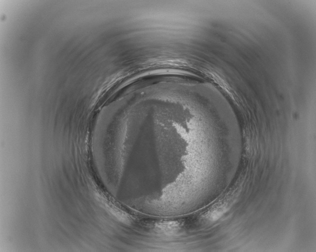 X0000061150357200511211007