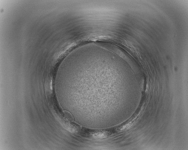 X0000061150358200511211007