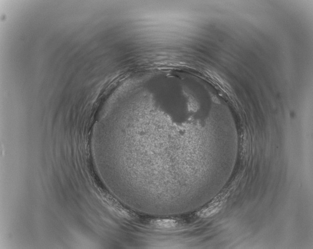 X0000061150361200511211007