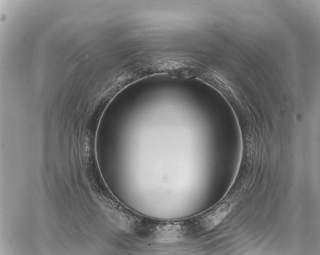 X0000061150362200511211007