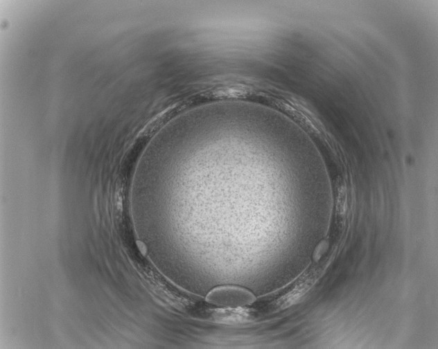 X0000061150363200511211007