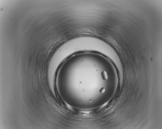 X0000061150365200511211007