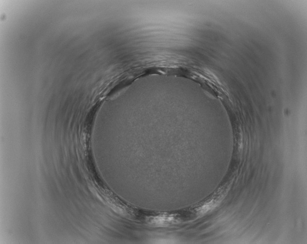 X0000061150366200511211007