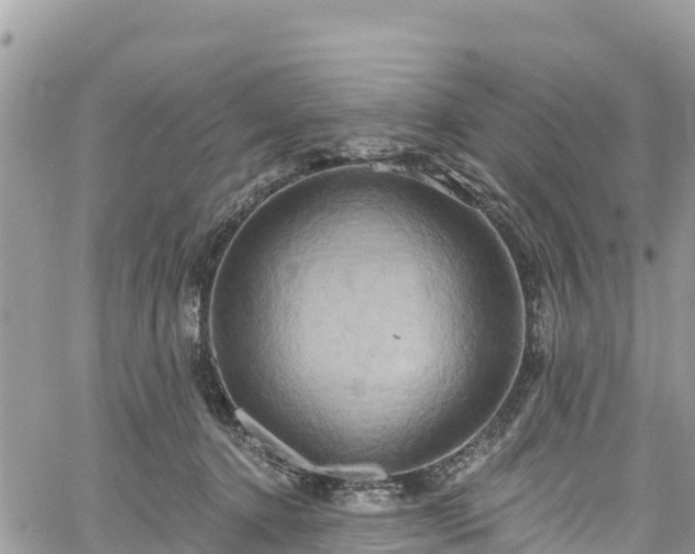 X0000061150368200511211007