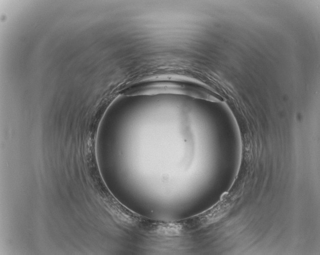 X0000061150369200511211008