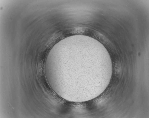 X0000061150370200511211008