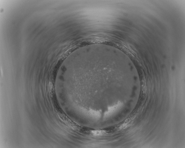 X0000061150371200511211008