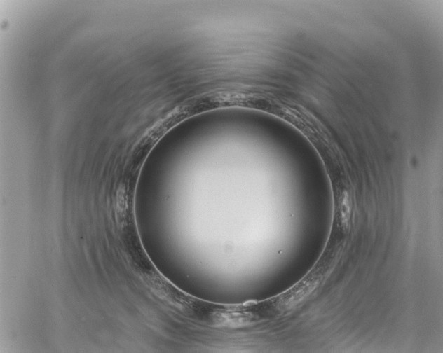 X0000061150372200511211008