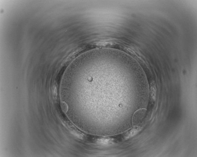 X0000061150375200511211008