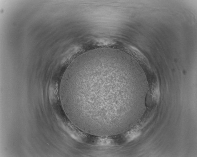 X0000061150376200511211008