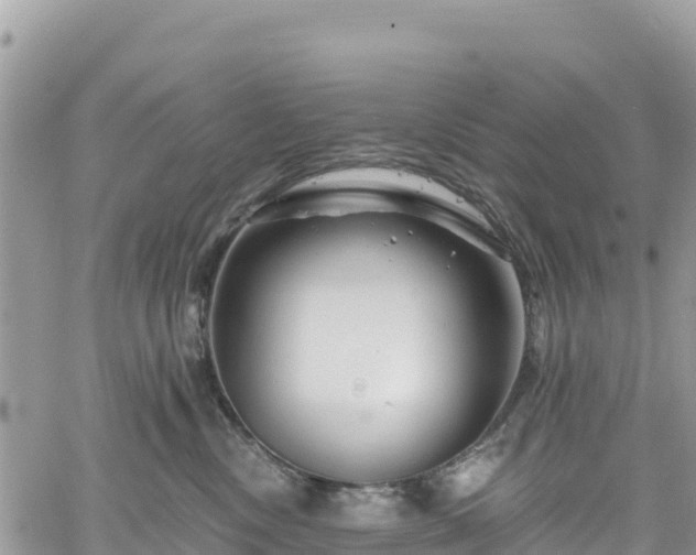 X0000061150378200511211008