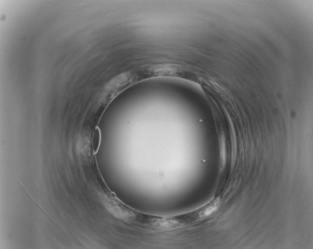 X0000061150379200511211008