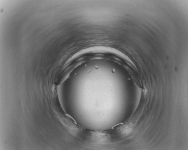 X0000061150380200511211008