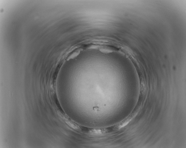 X0000061150381200511211008