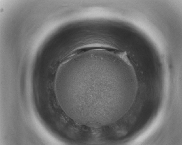 X0000061150382200511211008