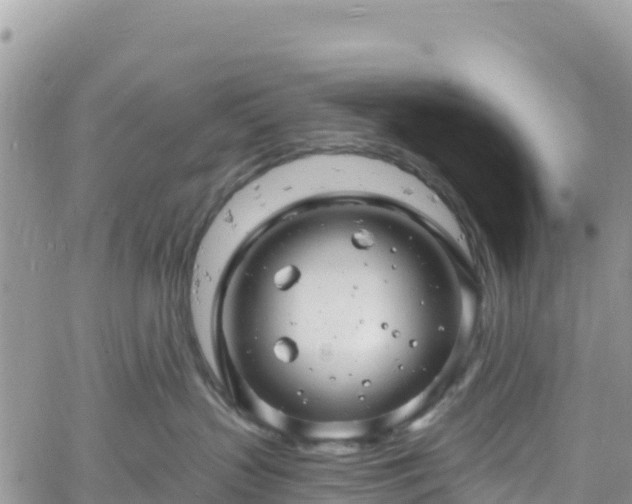 X0000061150383200511211008