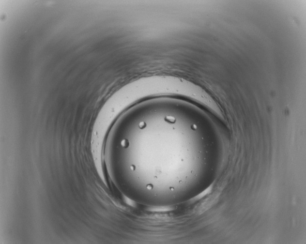 X0000061150384200511211008