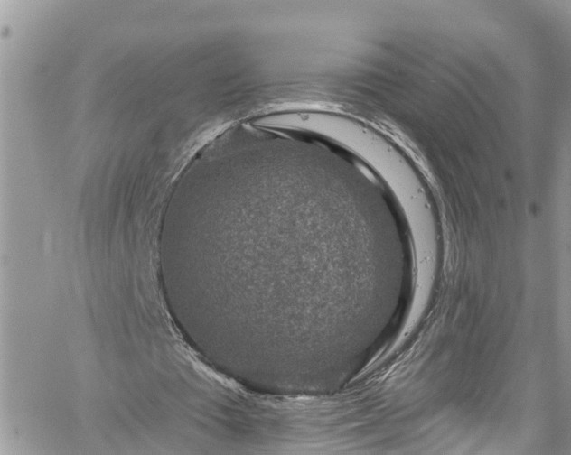 X0000061150385200511211007