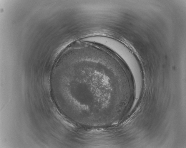 X0000061150386200511211007