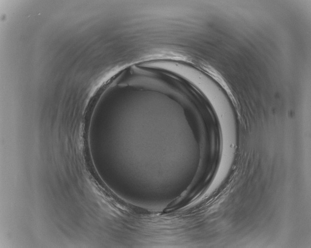 X0000061150387200511211007