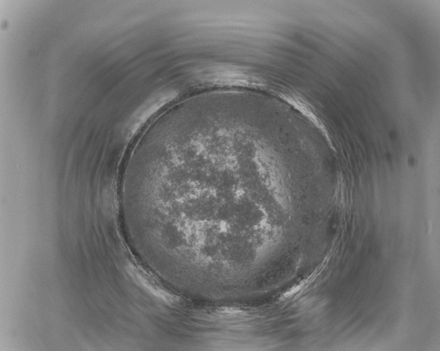 X0000061150390200511211007