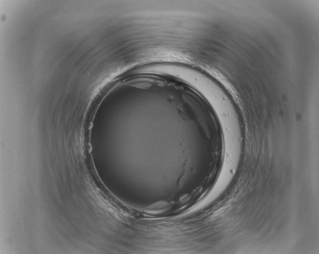 X0000061150391200511211007