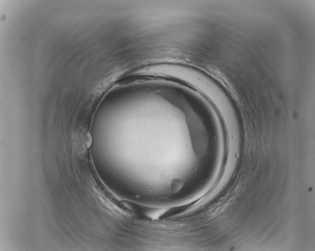 X0000061150393200511211007