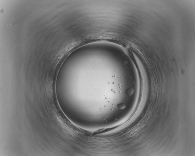 X0000061150394200511211007