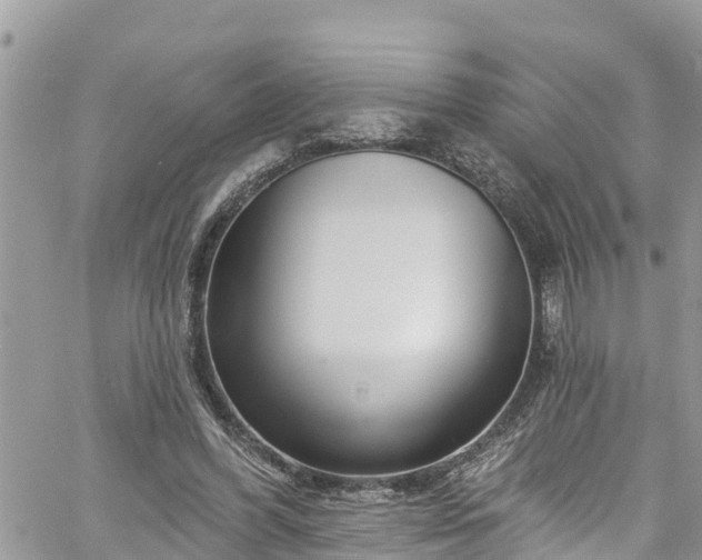 X0000061150396200511211007