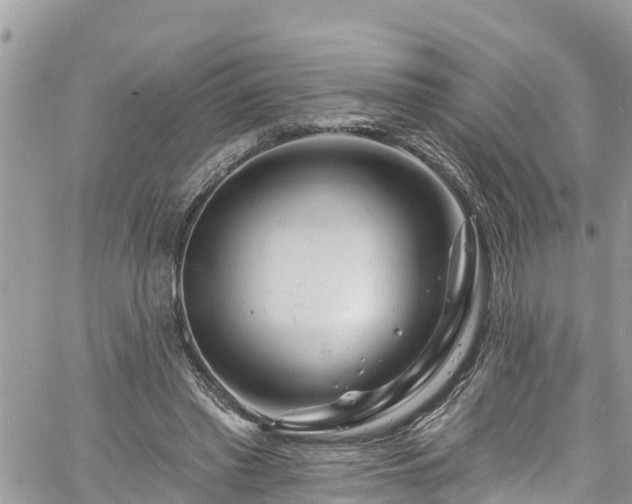 X0000061150397200511211007