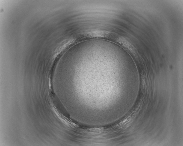 X0000061150398200511211007