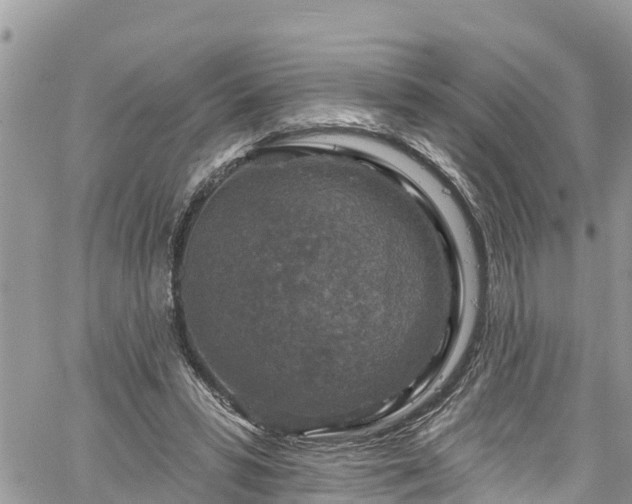 X0000061150399200511211007