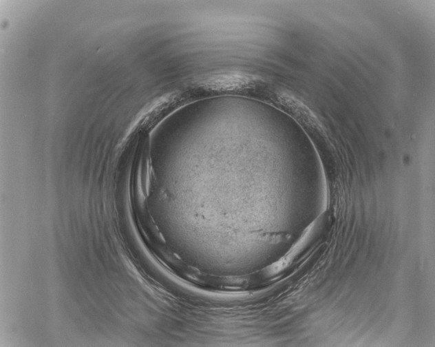 X0000061150400200511211007