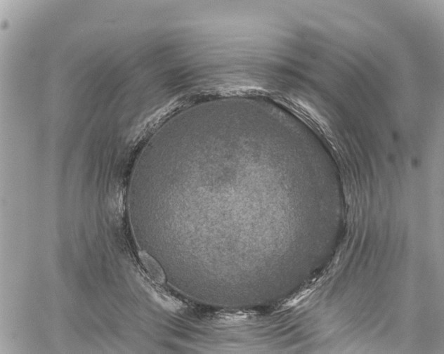 X0000061150405200511211007