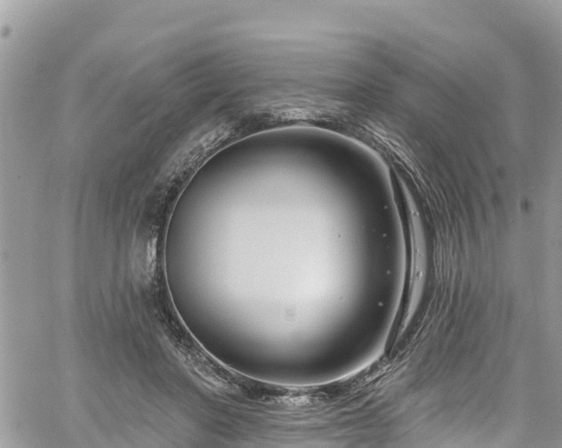 X0000061150406200511211007