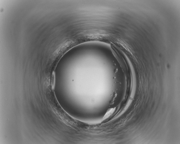 X0000061150407200511211007