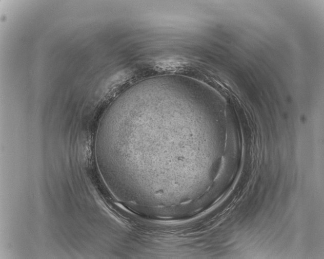 X0000061150408200511211007