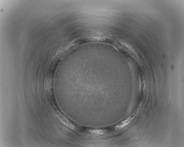 X0000061150409200511211007