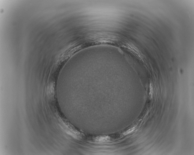 X0000061150410200511211007