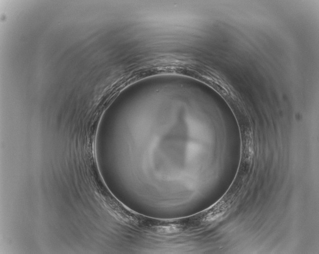 X0000061150411200511211007