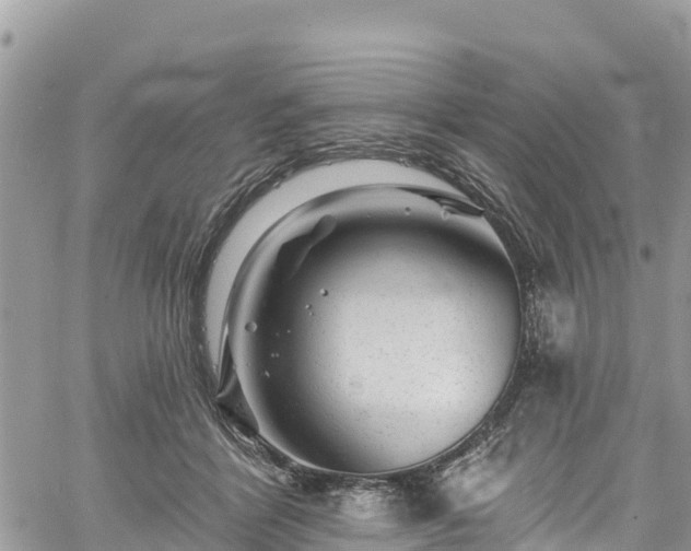 X0000061150412200511211007