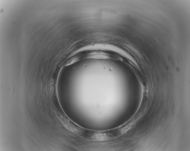 X0000061150413200511211006