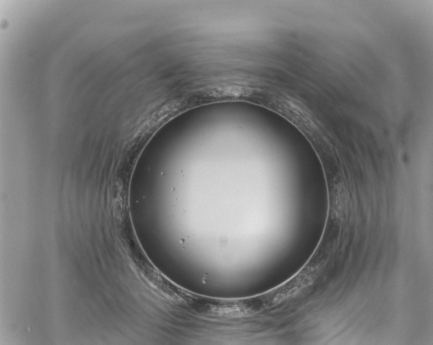 X0000061150414200511211006