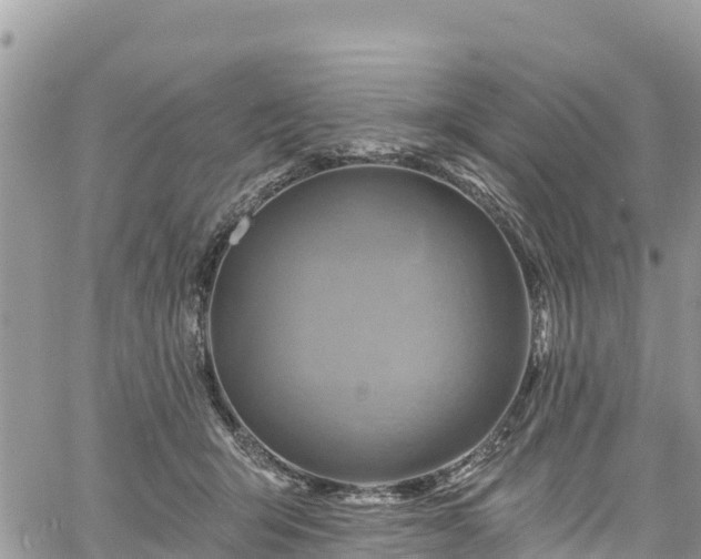 X0000061150415200511211006